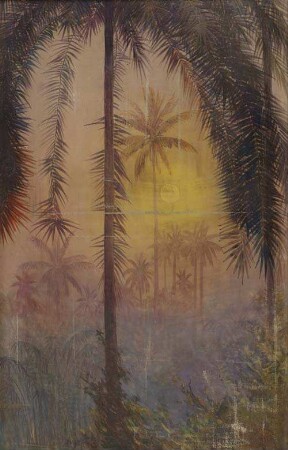 Harmattannebelstimmung in Togo