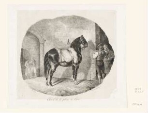 Cheval de la plaine de Caen, Blatt 6 der Folge "Etudes de Chevaux Lithographies"