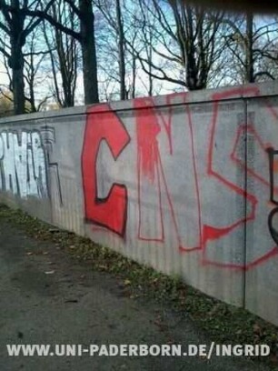 CNS