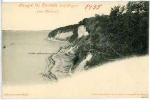 Hengst. Kreidefelsen bei Sassnitz