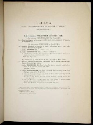 Schema della Classiazione seguita nel manuale ittiologico.