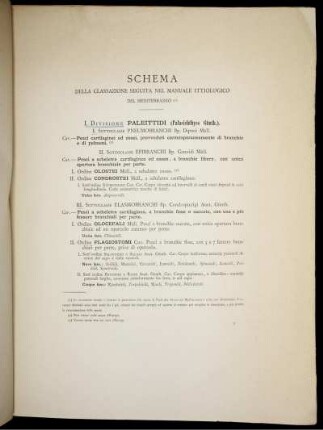 Schema della Classiazione seguita nel manuale ittiologico.