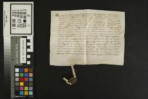 Heppenheim auf der Wiese: Litera sup. 12 mald. silig.
