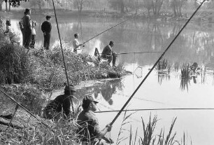 25. Fischerfest der Sportfischervereinigung Knielingen