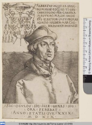 Kardinal Albrecht von Brandenburg (Der kleine Kardinal)