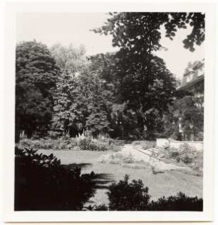 Garten Dr. Voss: Terrasse Sommergarten