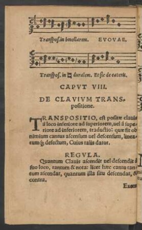 Caput VIII. De Clavium Transpositione.