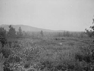 Toyohara-Ebene (Ebene bei Juschno-Sachalinsk) : Blick zur Bergkette des Suzuyayama (heute Pik Chekhova)
