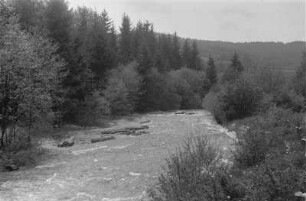 Kurzholzflößen : Holzflößung auf dem Weißen Regen