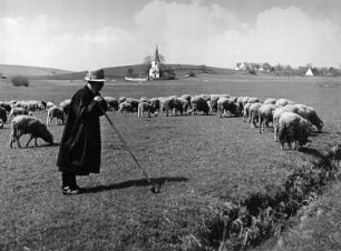 Schäfer mit Herde. Im Hintergrund Kirche von Hörlbach