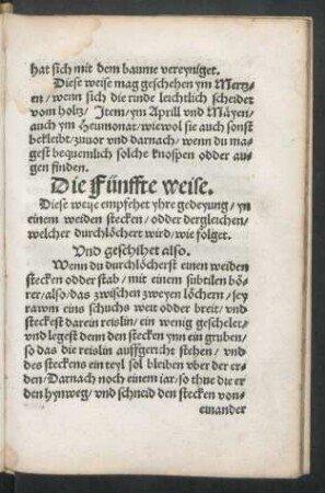 Die Fünffte weise.