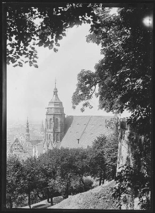 Pirna. Blick auf Pirna vom Schlossberg