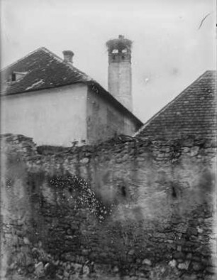 Weißstorch : Weißstorch (Ciconia ciconia Linnaeus) auf seinem Horst auf einem Schornstein.