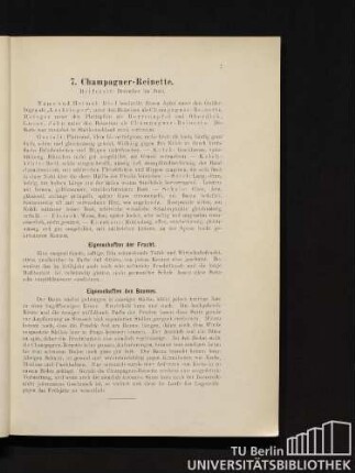 7. Champagner-Reinette.