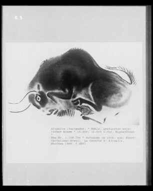 Wandmalerei in der Höhlenwohnung in der Altamira-Höhle: Bison