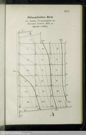 Taf. I. Höhenschichten-Karte der Kultur-Versuchsfläche des Nassauer Reviers, Abth. 30