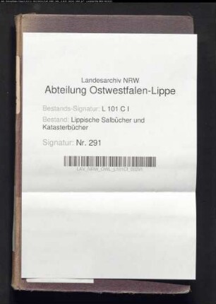 Salbuch der ehem. Vogtei Hohenhausen von 1856, Bd. 3