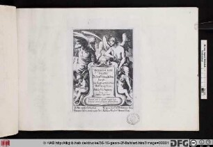 Duodecim Anni Menses : Die Zwölff Monadt des Jarres