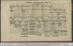Stemma Octavii Et Augusti