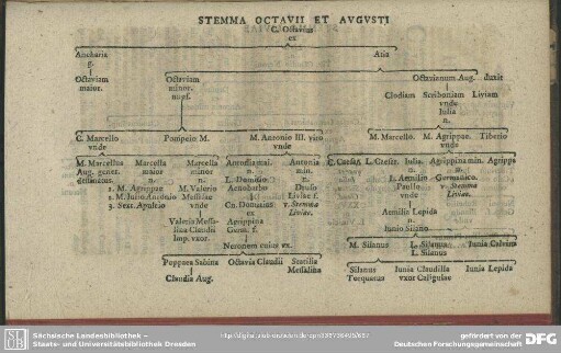 Stemma Octavii Et Augusti