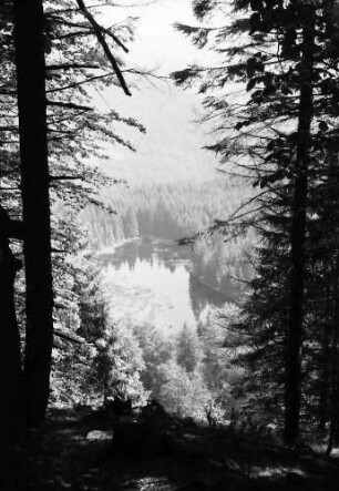 (Zuflucht): Buhlbachsee, vom Aussichtspunkt