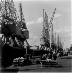 Hamburg. Hafen. Kaianlagen. Die Krane stehen wie zur Parade. Ein Frachtschiff wird entladen. Die an Land verbrachte Ladung wird mit einem Gabelstapler in bereitstehende Waggons transportiert