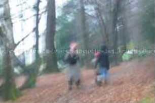 Unscharfes Foto von Kindern im Wald (Prämiertes Foto Sonderthema: Wunderland) (Altersgruppe SCH)