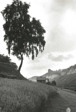 Sächsische Schweiz. Elbtal bei Schmilka-Hirschmühle. Blick vom linken Elbufer stromabwärts auf Schrammsteinkette und Gute-Bier-Wände
