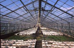 Fotografie: Gartenbautechnik-Gewächshaus, Bewässerung