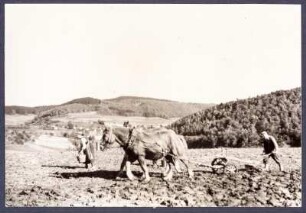 Pflügen des Ackers