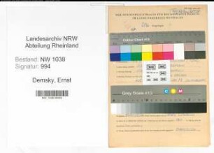 Entnazifizierung Ernst Demsky , geb. 12.03.1893 (Landwirt)