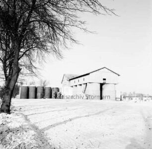 Heinrichshof, Gut: Schweinemastanlage: Futtermittelgebäude mit Silos: im Hintergrund rechts Schweineställe: links Baum: Winter