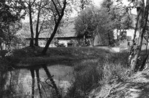 Hoyerswerda-Schwarzkollm. Mühle am Koselbruch, vom Stauteich aus