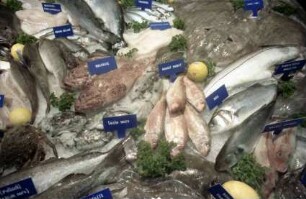 Basel: Fische