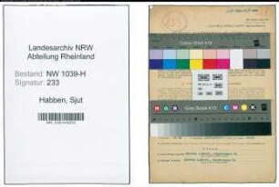 Entnazifizierung Sjut Habben , geb. 17.01.1890 (Beamter)