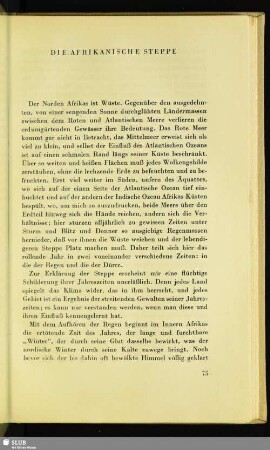 Die Afrikanische Steppe