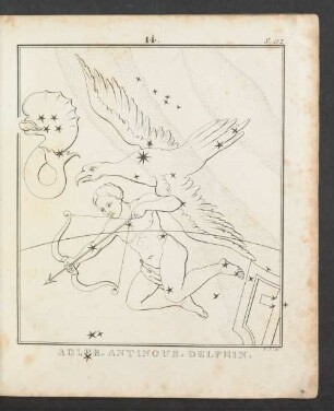 Tafel 14.: Adler. Antinous. Delphin.