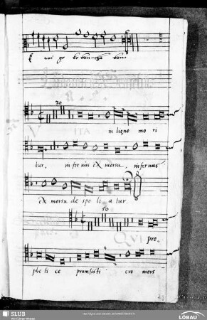 5 Ludwig Senfl: Vita in ligno moritur