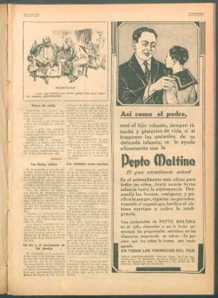 Los fósiles chinos