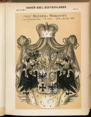 Taf. 14. Fürst Blücher v. Wahlstatt.