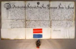 Dessau, 1708.09.01. Geburtsbrief für Elisabeth Magdalena Hundt von Dessau. Aussteller: Amtrat