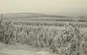 Osterzgebirge. Blick vom Grünstein am Kahleberg nach Südwesten