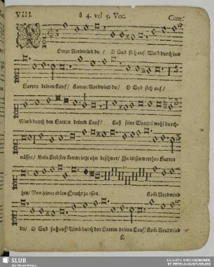 VIII. Komm Nordwind du