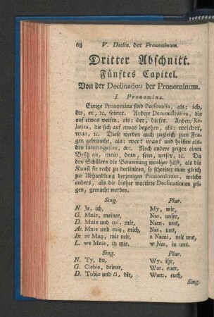 Fünftes Capitel. Von der Declination der Pronominum.