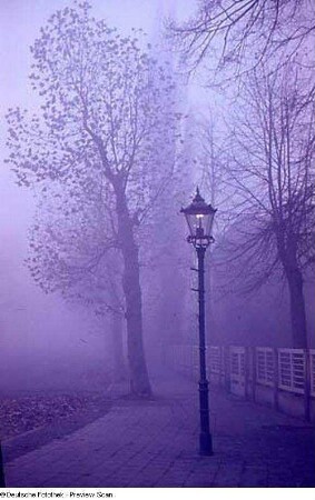 Straßenbild mit Straßenlaterne im Nebel