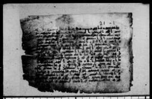al- Qurʾān [DAM 17-12.3]