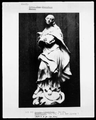 Immaculata