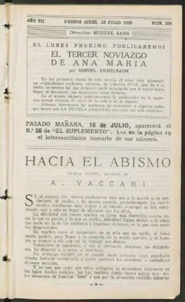 1923007296: Hacia el abismo : novela inédita