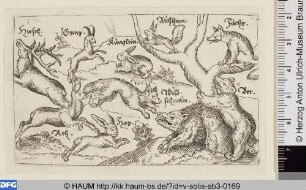 Verschiedene Tiere, darunter ein Fuchs auf einem Baum