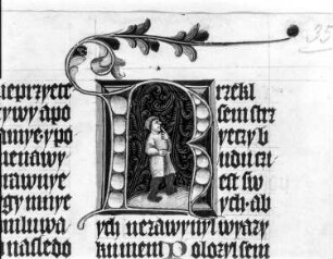 fol. 35r, Initiale mit Text